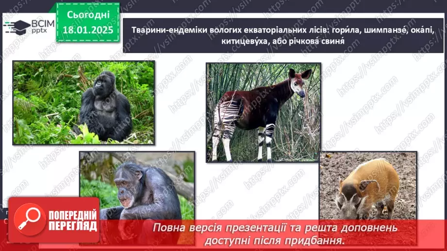 №37 - У чому особливість природних зон Південної Америки.9