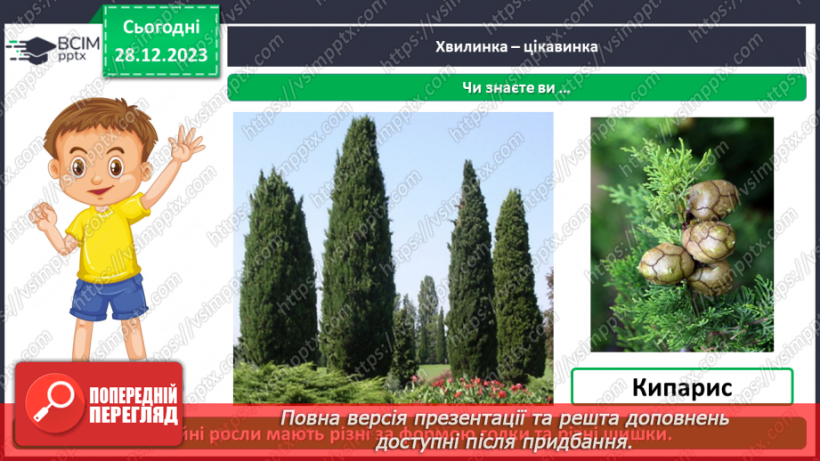 №052 - Які бувають рослини17 №052 - Які бувають рослини17