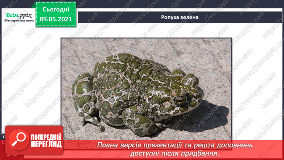 №064 - Чому земноводні мають таку назву?11 №064 - Чому земноводні мають таку назву?11