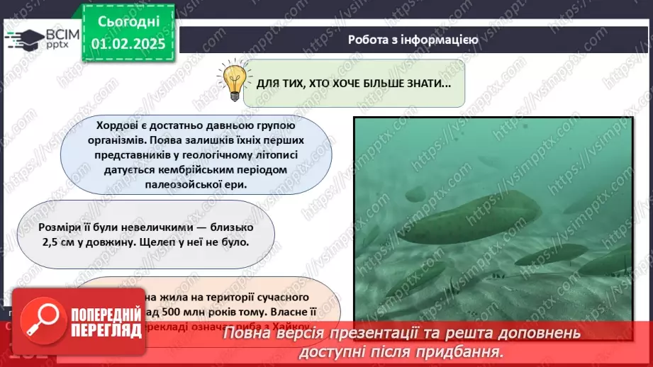 №58 - Хордові.16 №58 - Хордові.16