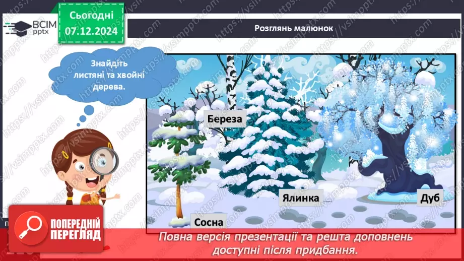 №043 - Рослини зимового лісу. Сорочині вигадки5 №043 - Рослини зимового лісу. Сорочині вигадки5