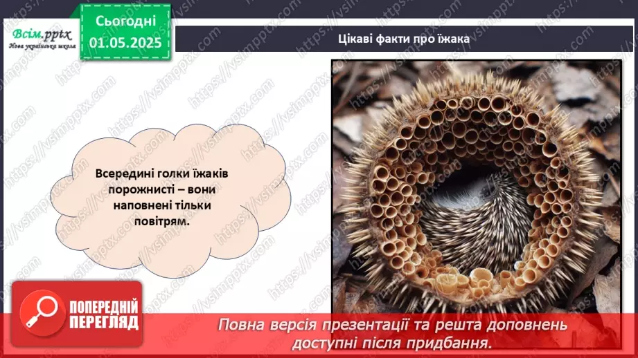 №33 - Виготовлення аплікації за допомогою раніше опанованих технік. Проєктна робота «Їжачок».14 №33 - Виготовлення аплікації за допомогою раніше опанованих технік. Проєктна робота «Їжачок».14