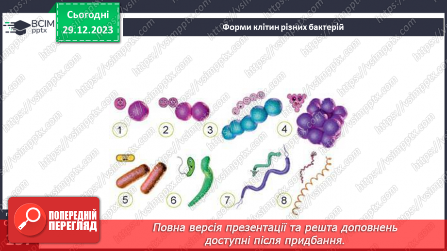 №35 - Чим особливі бактерії та віруси.10