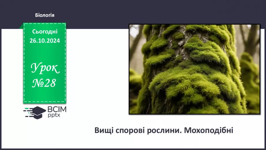 №28 - Вищі спорові рослини. Мохоподібні0