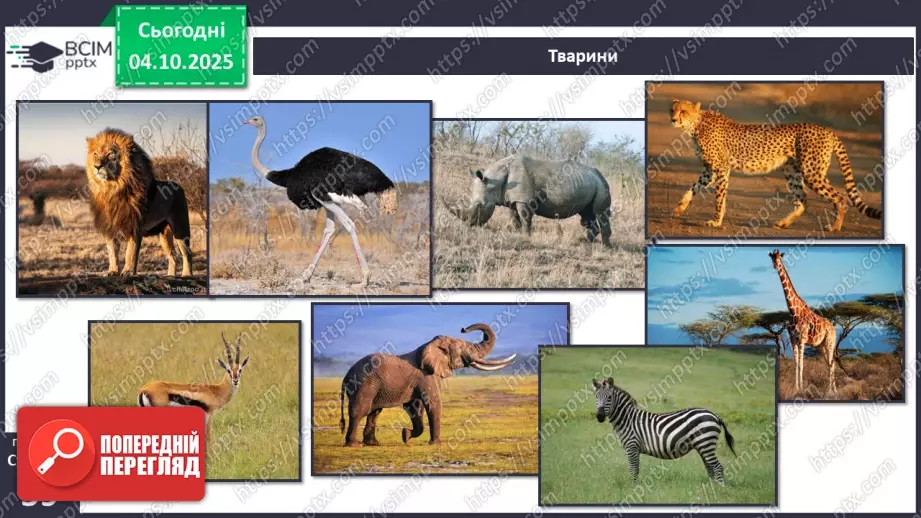 №0020 - Природні зони Землі.24 №0020 - Природні зони Землі.24