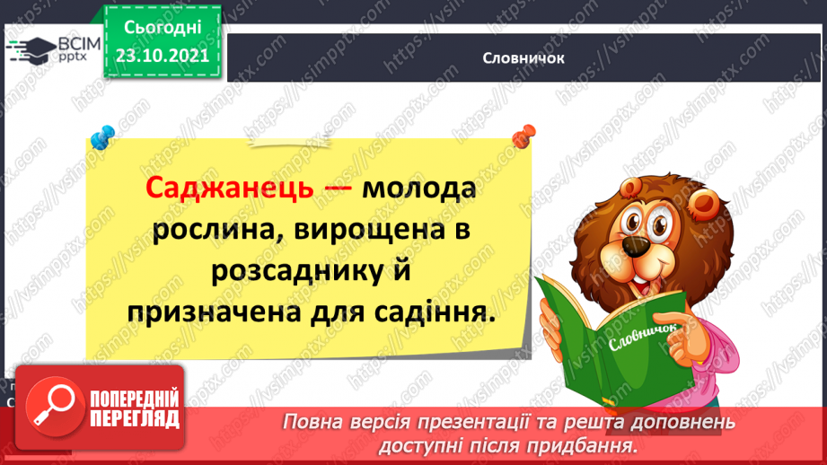 №038 - Аналіз контрольної роботи. Лексичне значення слова13