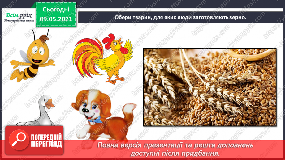 №070 - Як дикі тварини стали свійськими?19