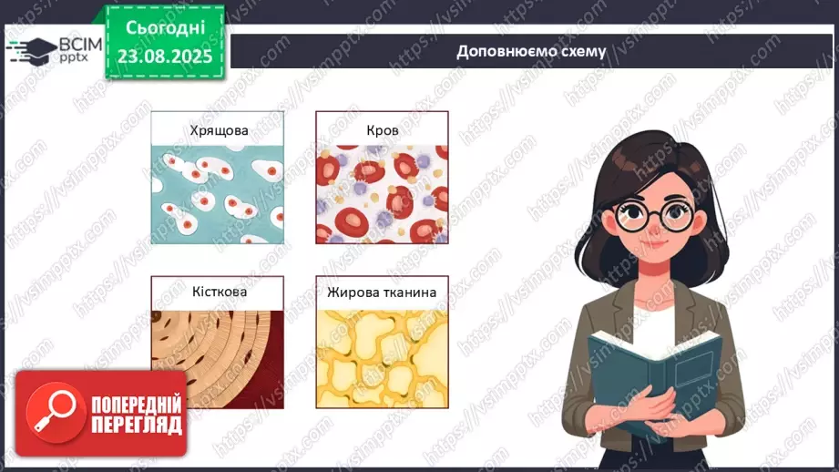 №003 - Узагальнення вивченого з теми: «Організм людини та тварин як складна багаторівнева біологічна система».24 №003 - Узагальнення вивченого з теми: «Організм людини та тварин як складна багаторівнева біологічна система».24
