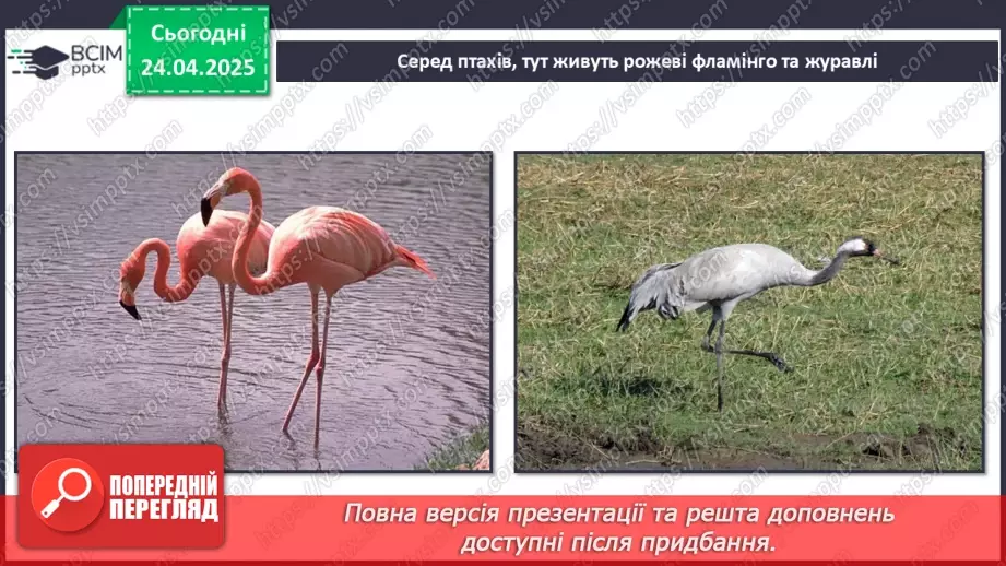 №0096 - Чому природа потребує охорони12 №0096 - Чому природа потребує охорони12