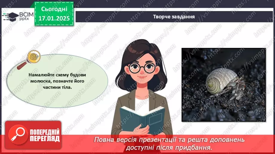 №53 - Молюски (продовження).19 №53 - Молюски (продовження).19