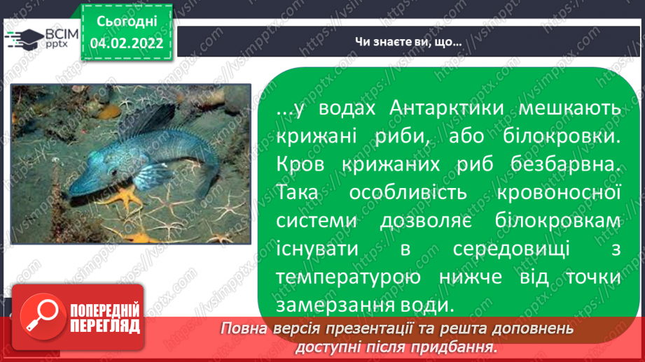 №065-68 - Рослинний і тваринний  Світ Антарктиди19 №065-68 - Рослинний і тваринний  Світ Антарктиди19