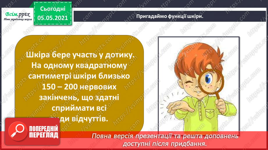 №087 - Орган дотику.15