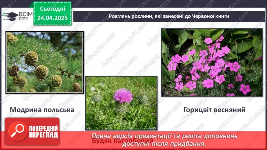 №0095 - Чому природа потребує охорони17 №0095 - Чому природа потребує охорони17