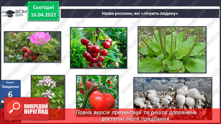 №089 - Рослинництво в рідному краї.23