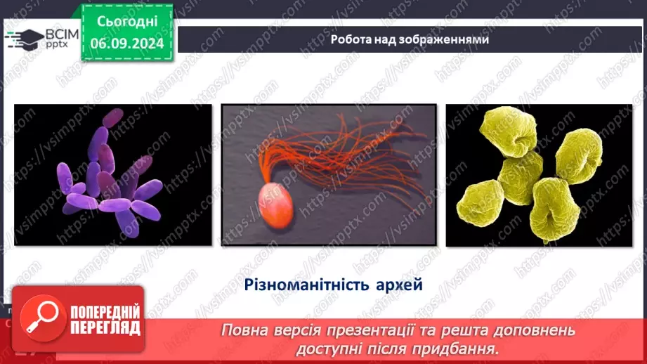 №09 - Яка різноманітність прокаріотів? Яка їхня роль у природі?9