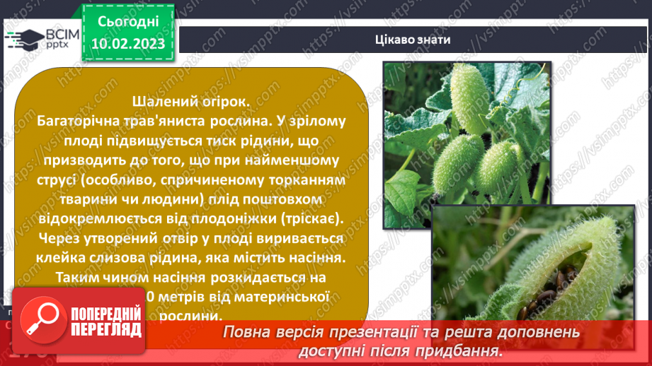 №45 - Пристосування до життя та різноманітність рослин. Секрети насінини.18
