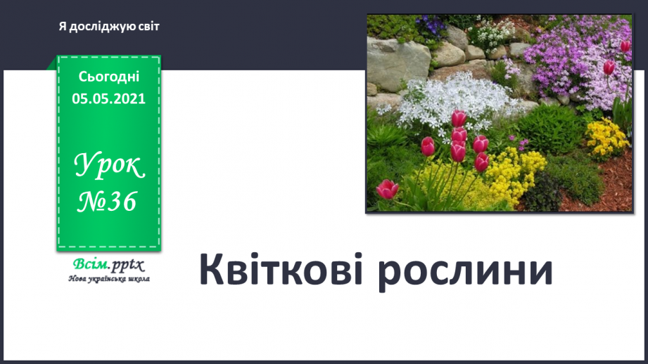 №036 - Квіткові рослини.0
