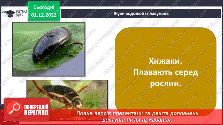 №048 - Мешканці океанів та прісних водойм.23