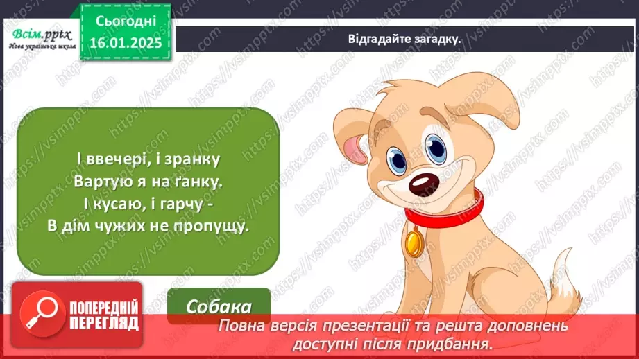№19 - Карнавал тварин4