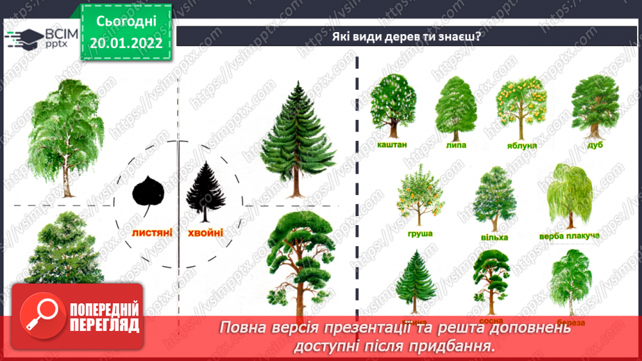 №20 - Інструктаж з БЖ. Працюємо з деревиною3 №20 - Інструктаж з БЖ. Працюємо з деревиною3