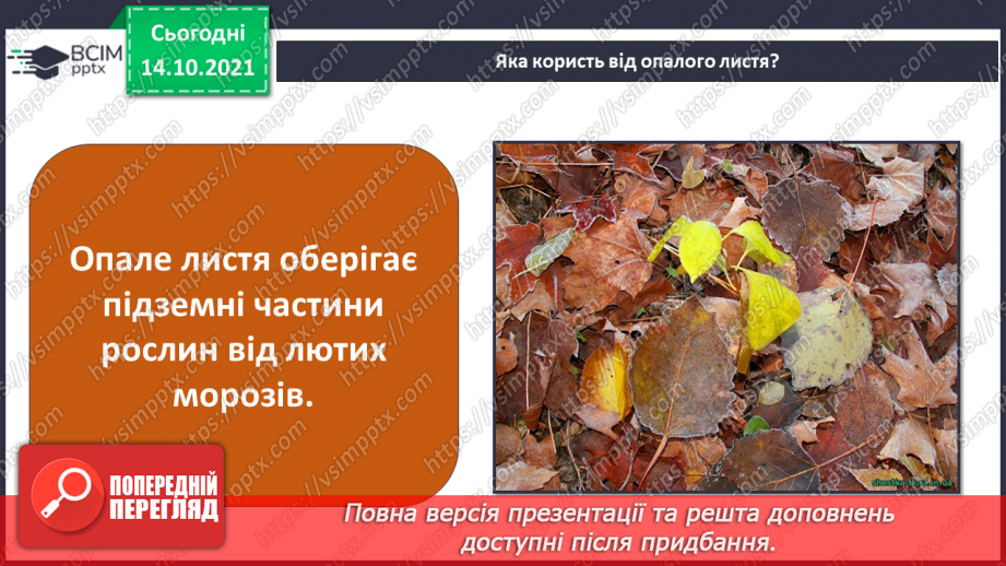 №025 - Як безпека перетворюється на небезпеку? Дослідження «Які водоспади є на Закарпатті?».21 №025 - Як безпека перетворюється на небезпеку? Дослідження «Які водоспади є на Закарпатті?».21