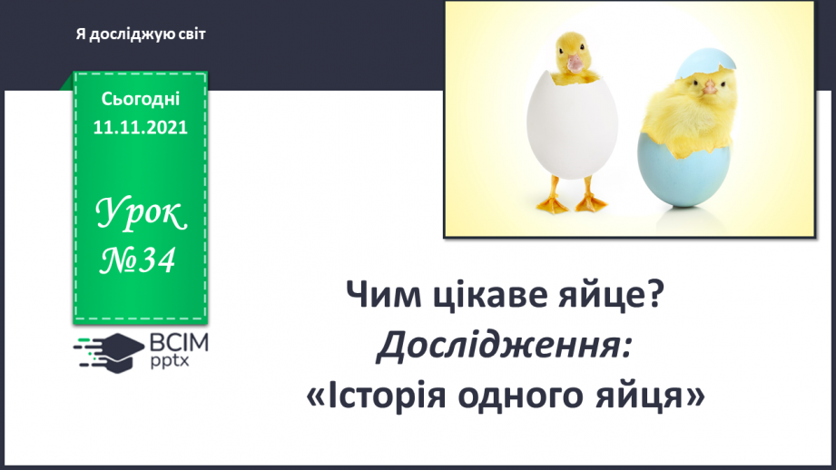 №034 - Чим цікаве яйце? Дослідження: «Історія одного яйця».0 №034 - Чим цікаве яйце? Дослідження: «Історія одного яйця».0