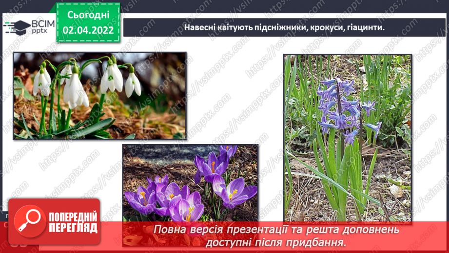 №083 - Кримські гори.12