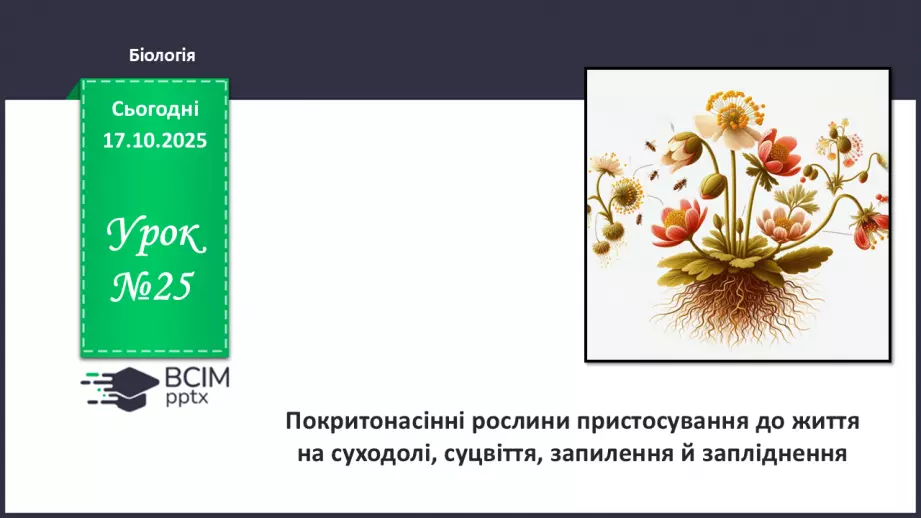 №025 - Покритонасінні рослини: пристосування до життя на суходолі, суцвіття, запилення й запліднення.0 №025 - Покритонасінні рослини: пристосування до життя на суходолі, суцвіття, запилення й запліднення.0