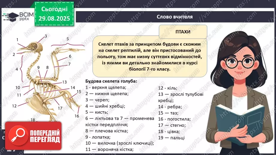 №004 - Рух як властивість живого. Еволюція опорно-рухового апарату хордових тварин.24 №004 - Рух як властивість живого. Еволюція опорно-рухового апарату хордових тварин.24