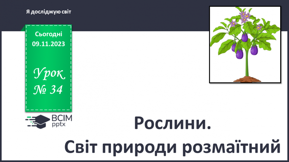 №034 - Рослини. Світ природи розмаїтий…0 №034 - Рослини. Світ природи розмаїтий…0