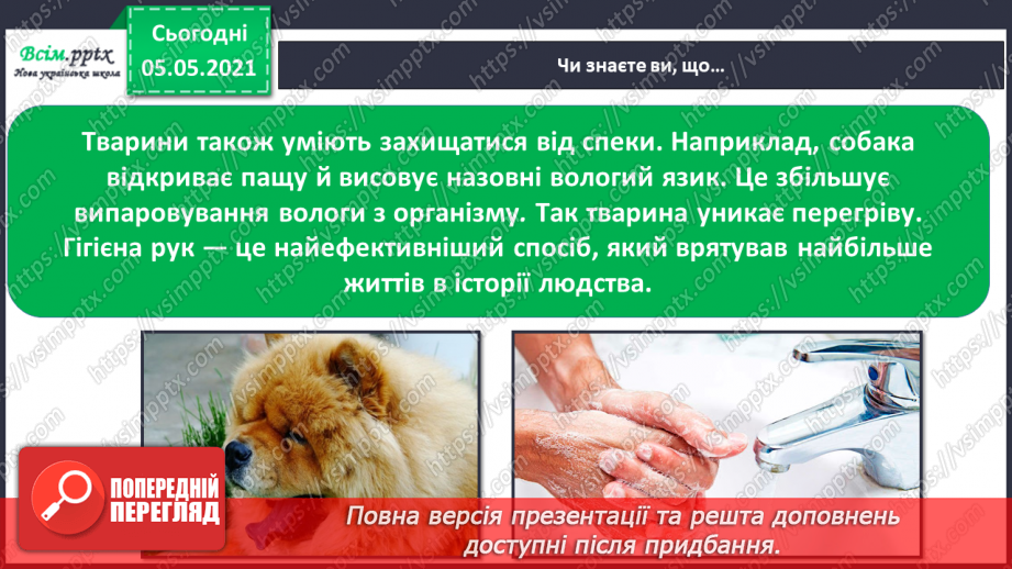 №053 - Функції шкіри. Практична робота.19 №053 - Функції шкіри. Практична робота.19