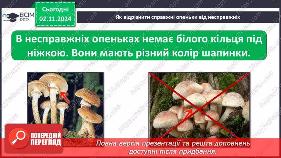 №0033 - Чи всі гриби їстівні16 №0033 - Чи всі гриби їстівні16