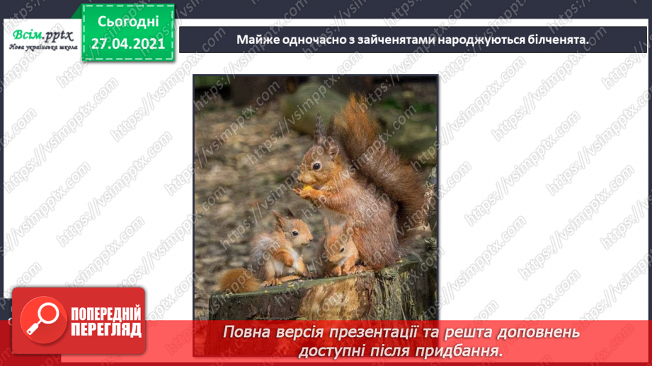 №088-89 - Які турботи приносить весна звірам?14