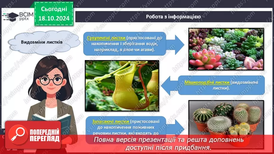 №26 - Видозміни вегетативних органів рослин.13 №26 - Видозміни вегетативних органів рослин.13