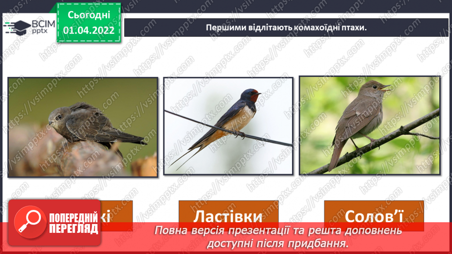 №084 - Як мандрують птахи?6 №084 - Як мандрують птахи?6