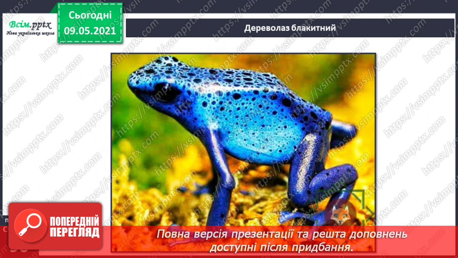 №064 - Чому земноводні мають таку назву?15 №064 - Чому земноводні мають таку назву?15