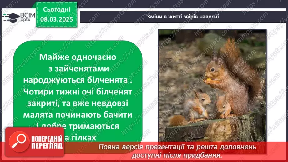 №0078 - Які зміни в житті звірів навесні14 №0078 - Які зміни в житті звірів навесні14