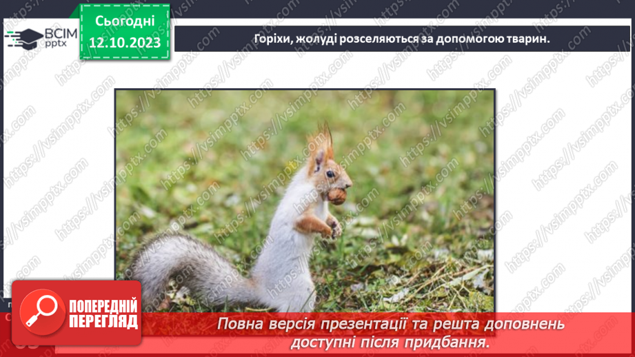 №022 - Плоди і насіння рослин11 №022 - Плоди і насіння рослин11