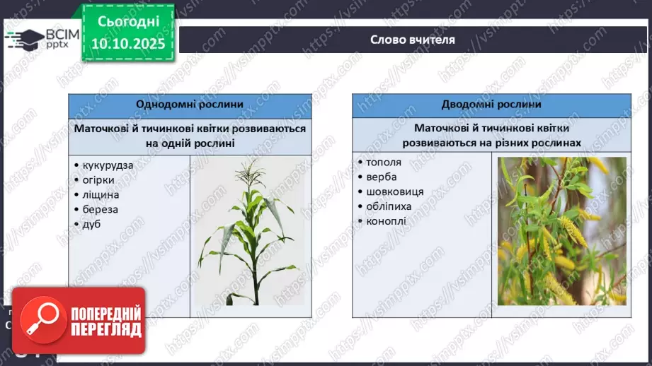 №024 - Покритонасінні рослини: квітка та плід. Значення в екосистемах.24 №024 - Покритонасінні рослини: квітка та плід. Значення в екосистемах.24