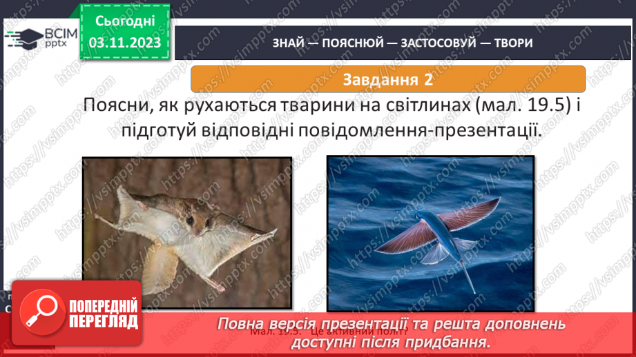 №21 - Чому життя — це рух?17