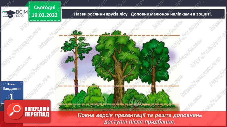 №072 - Як влаштований ліс?17 №072 - Як влаштований ліс?17