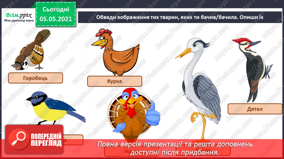 №040 - Птахи.19 №040 - Птахи.19