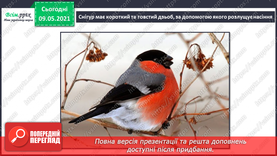 №066 - Як птахи опанували повітряний простір?15 №066 - Як птахи опанували повітряний простір?15