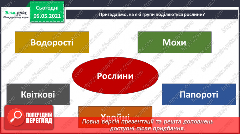 №034 - Папороті.5 №034 - Папороті.5