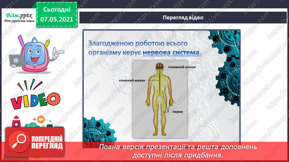 №060 - Що таке нервова система.7 №060 - Що таке нервова система.7