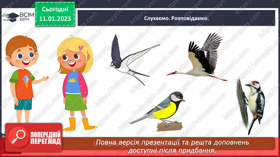 №0057 - Птахи13