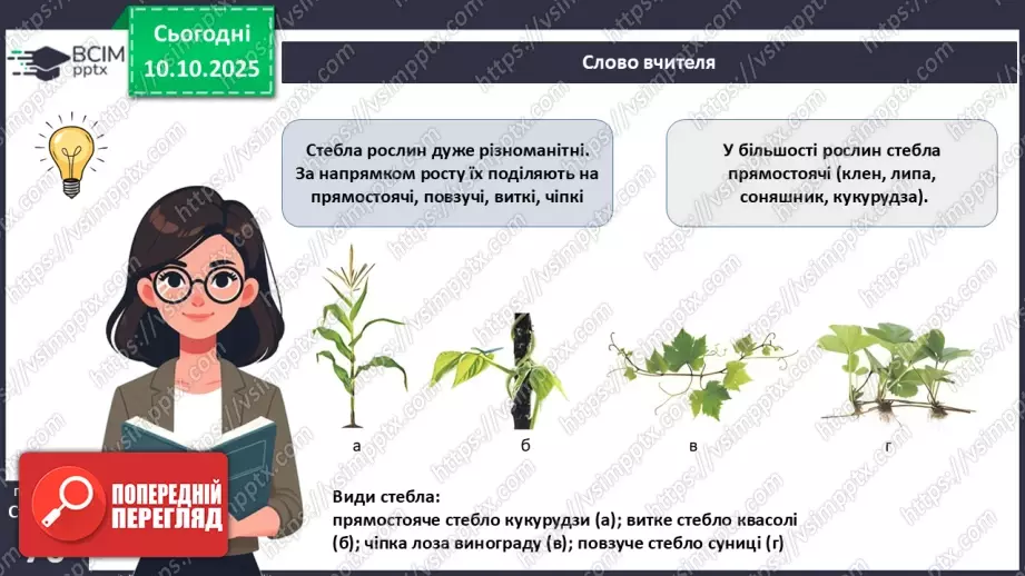 №022 - Покритонасінні рослини: будова бруньки, пагона й листка.13 №022 - Покритонасінні рослини: будова бруньки, пагона й листка.13
