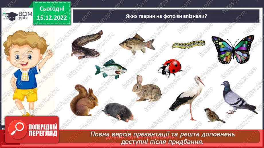 №0054 - Різноманітність тварин. Дикі та свійські тварини7 №0054 - Різноманітність тварин. Дикі та свійські тварини7