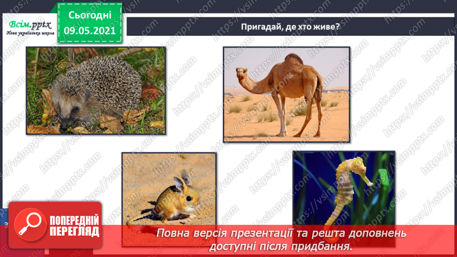 №072 - Застосовуємо знання щодня32
