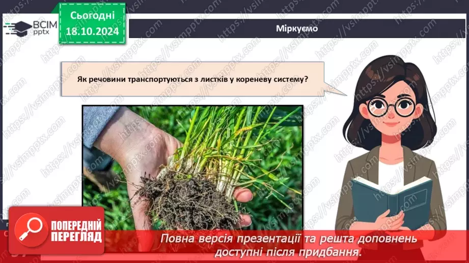 №27 - Рослина цілісний організм. Взаємозв'язки органів рослин.24 №27 - Рослина цілісний організм. Взаємозв'язки органів рослин.24